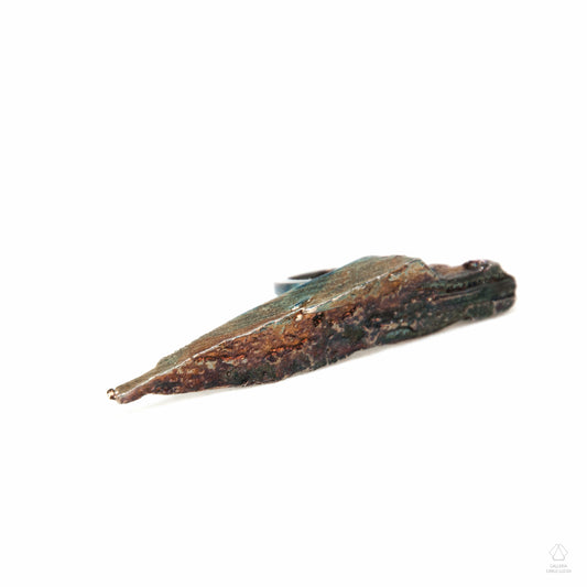 anello scultura in argento, scheggia di legno. Pezzo unico.