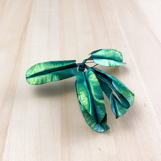 Brooch in Paradise