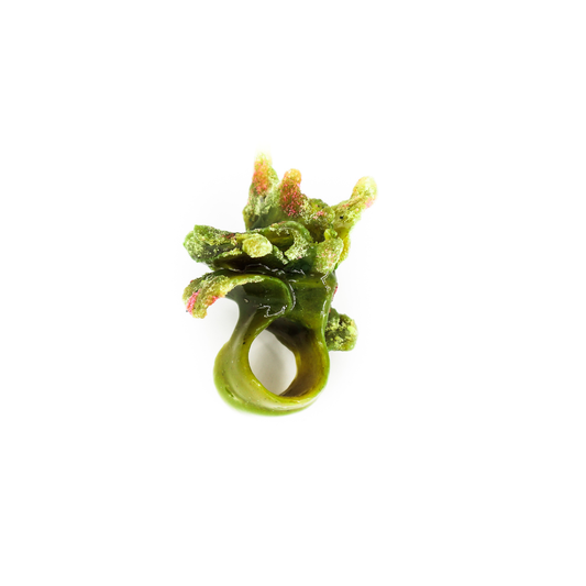 Anello multicolore 1
