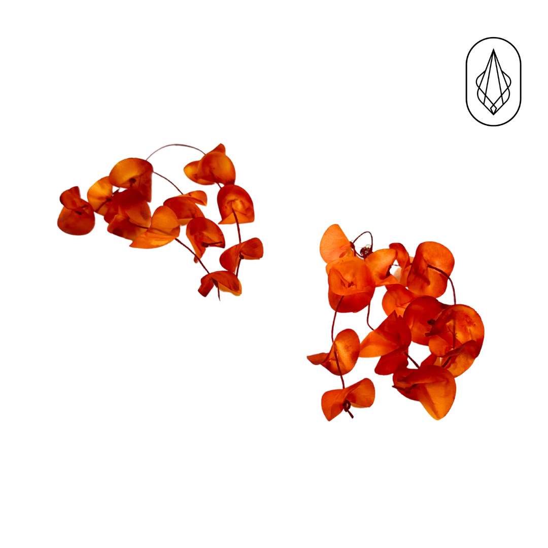 Bougainvillea earrings