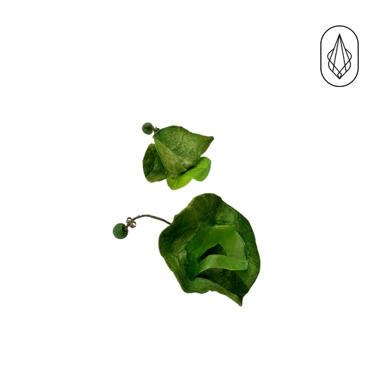 Freesia earrings
