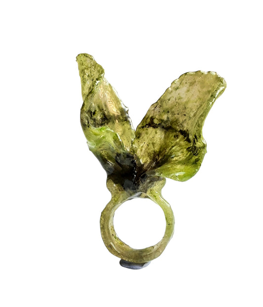 Anello alisio