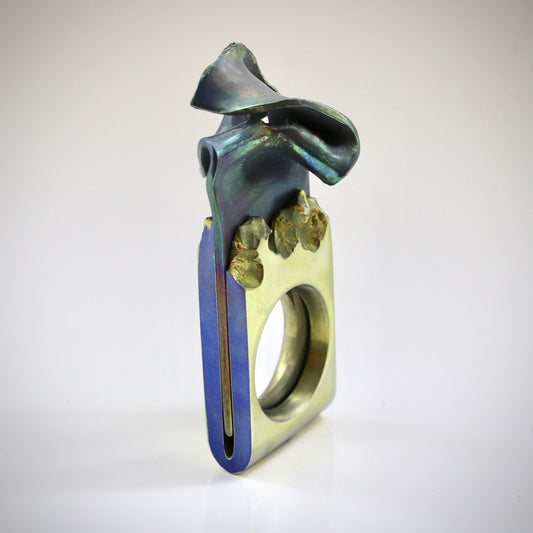 Anello titanio 1