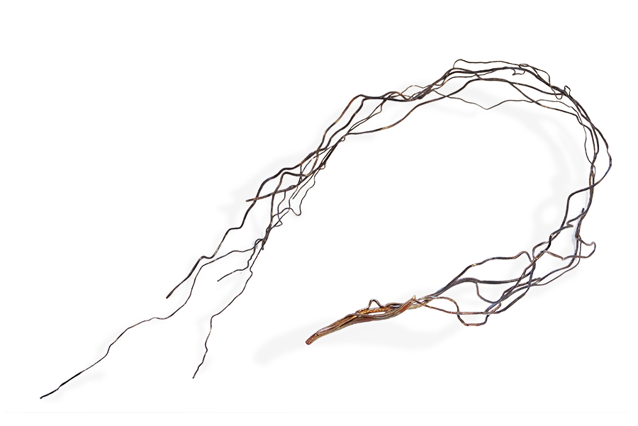 Spilla gioiello contemporaneo di Meira Rauta in Rame radici rami