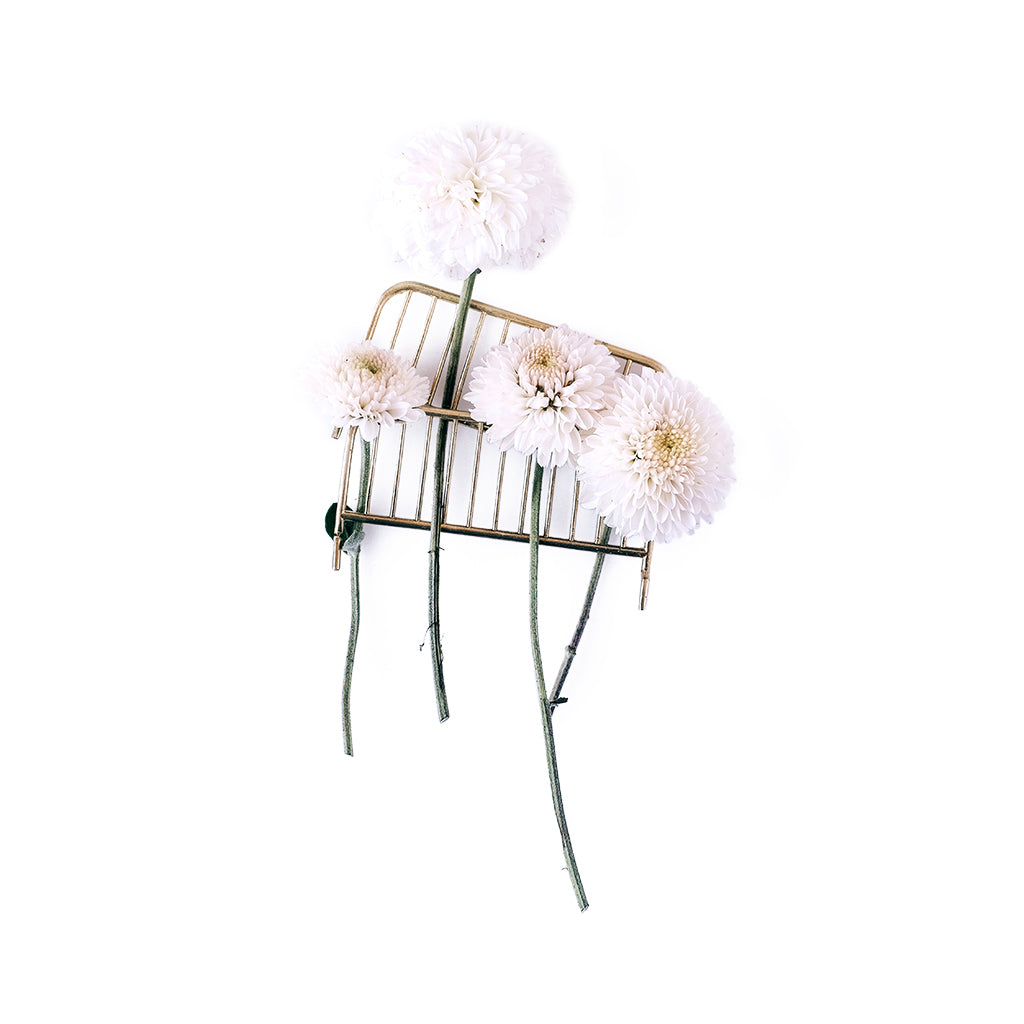 Galleria Carlo Lucidi