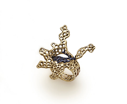 Aria, anello #7