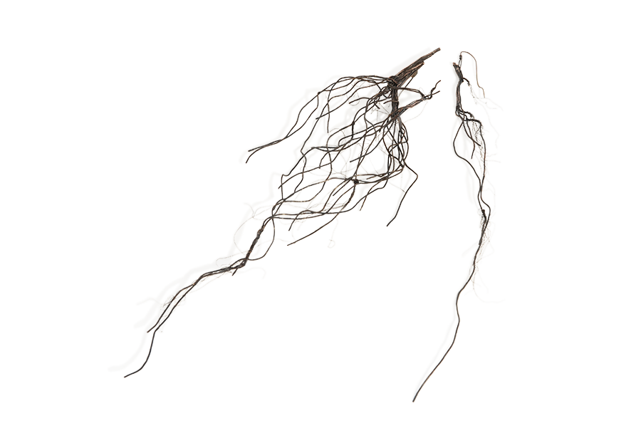 Spilla  e orecchino, gioiello contemporaneo di Meira Rauta in Rame