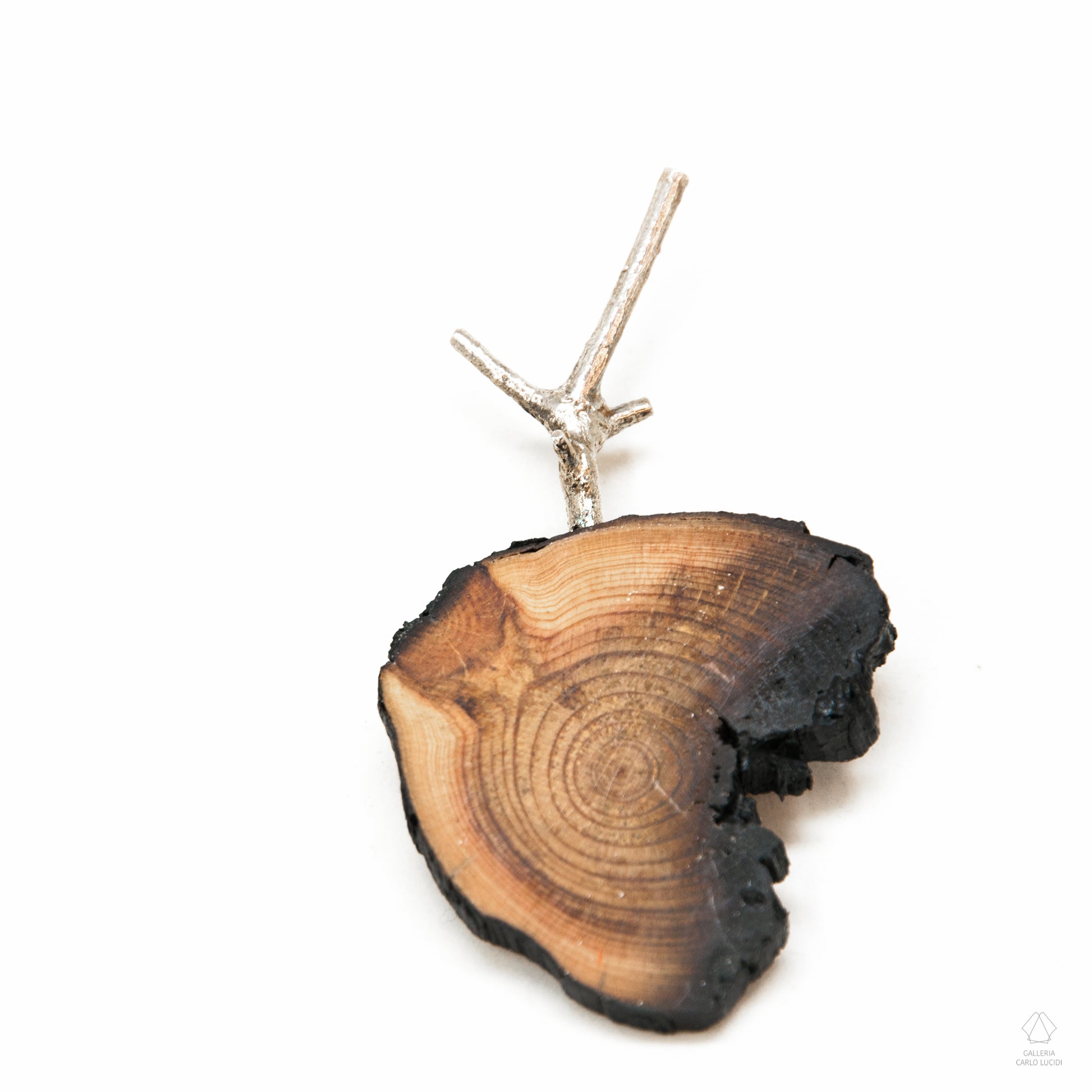 spilla magnetica, scultura in legno di pino e argento.
