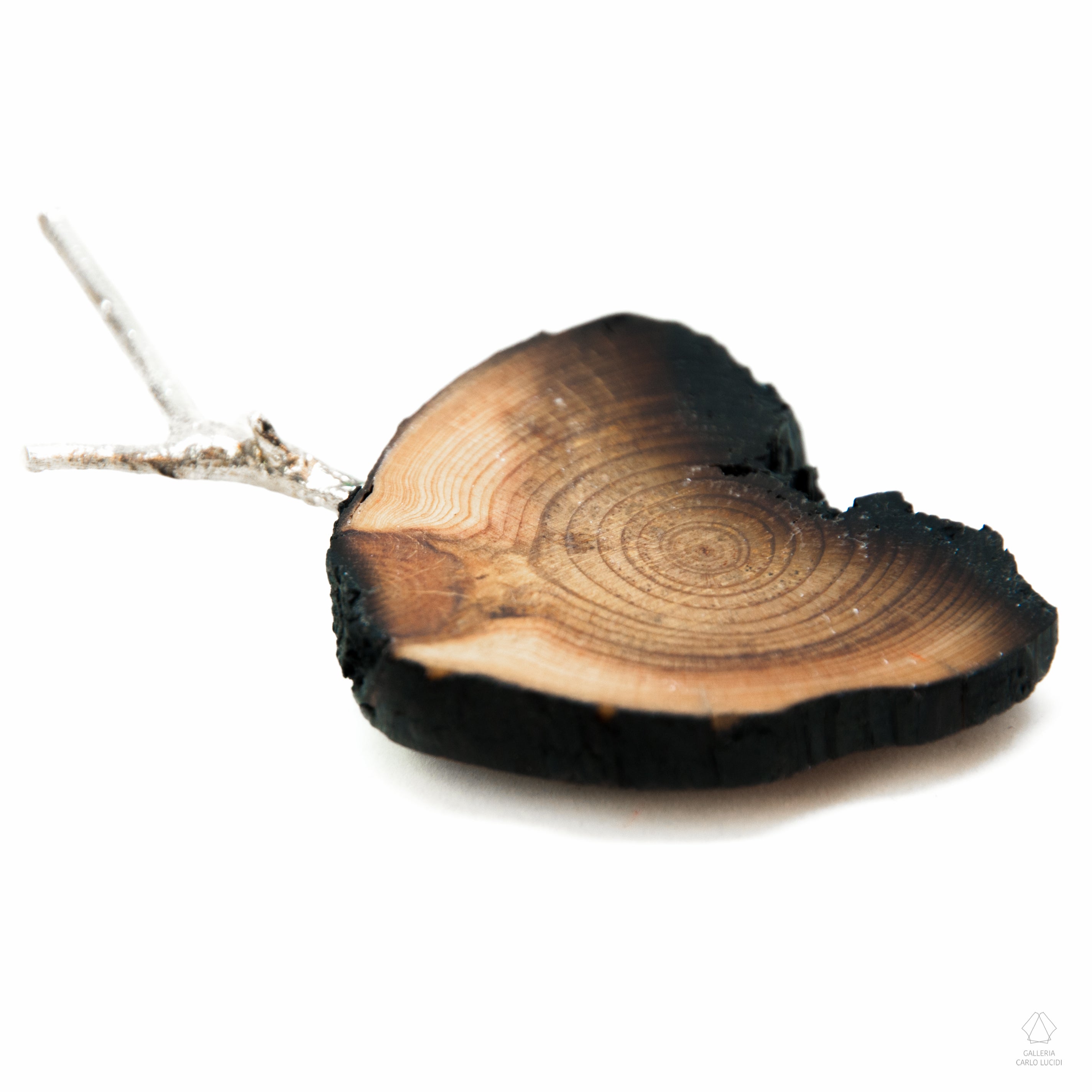 spilla magnetica, scultura in legno di pino e argento.