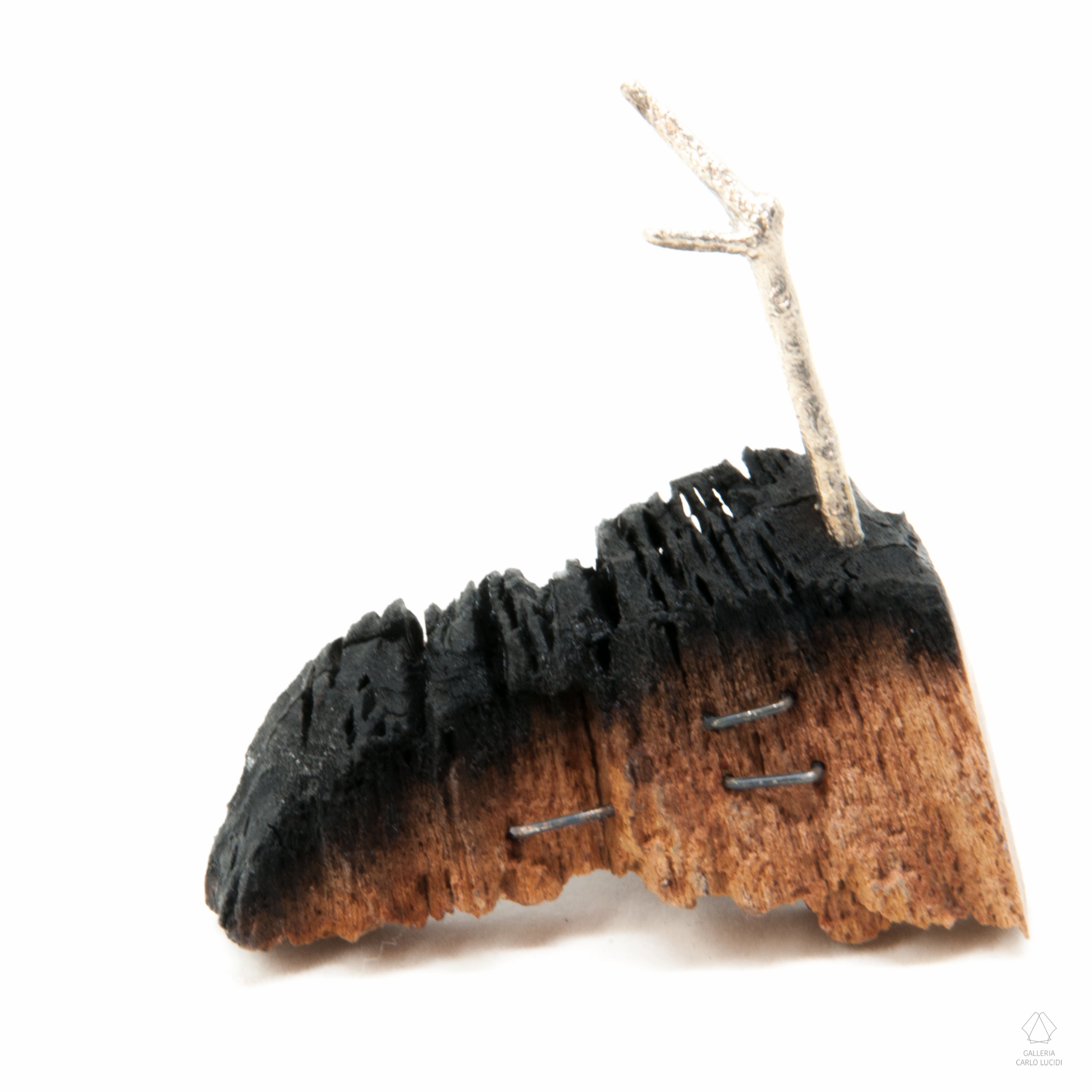 spilla magnetica, scultura in legno di pino e argento.