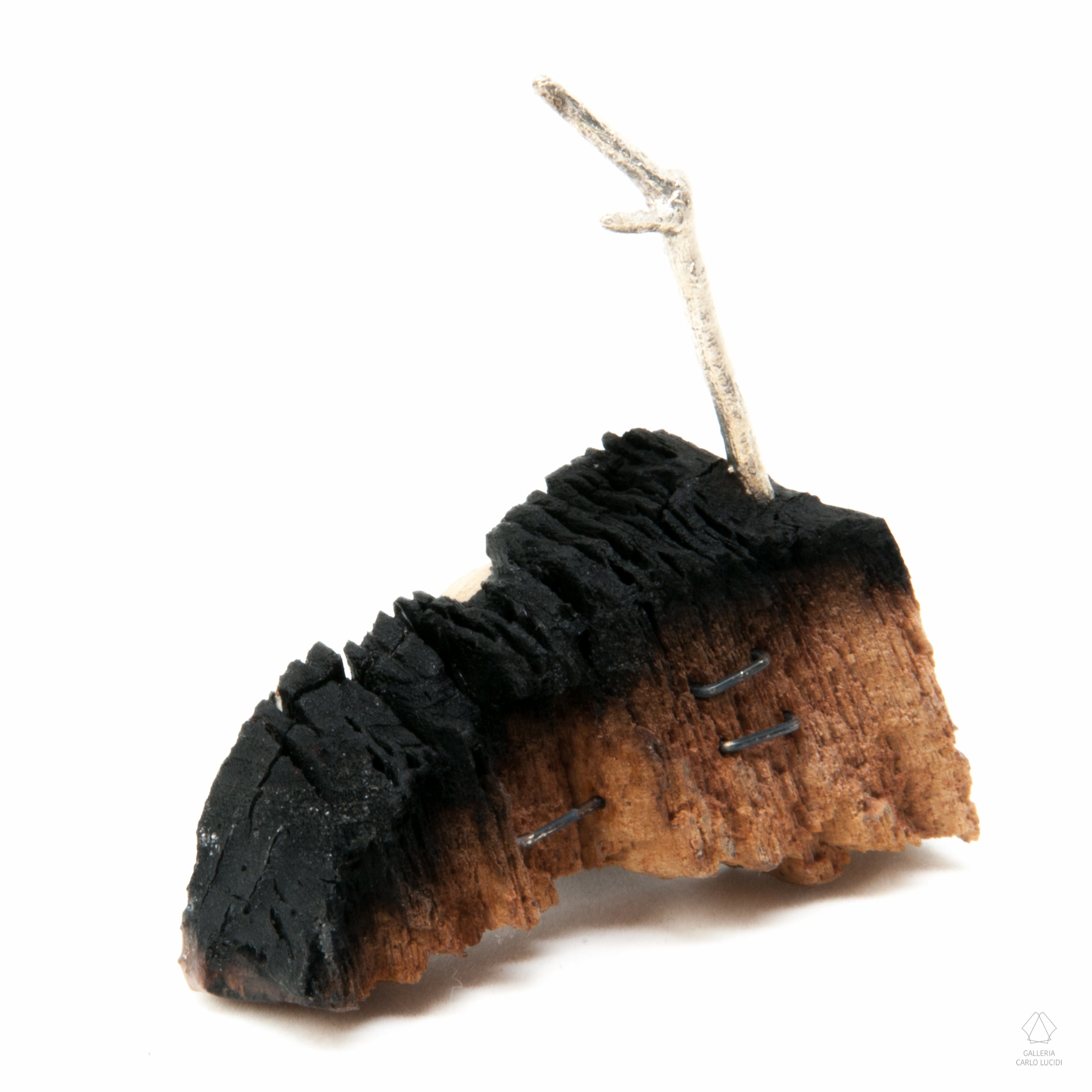 spilla magnetica, scultura in legno di pino e argento.