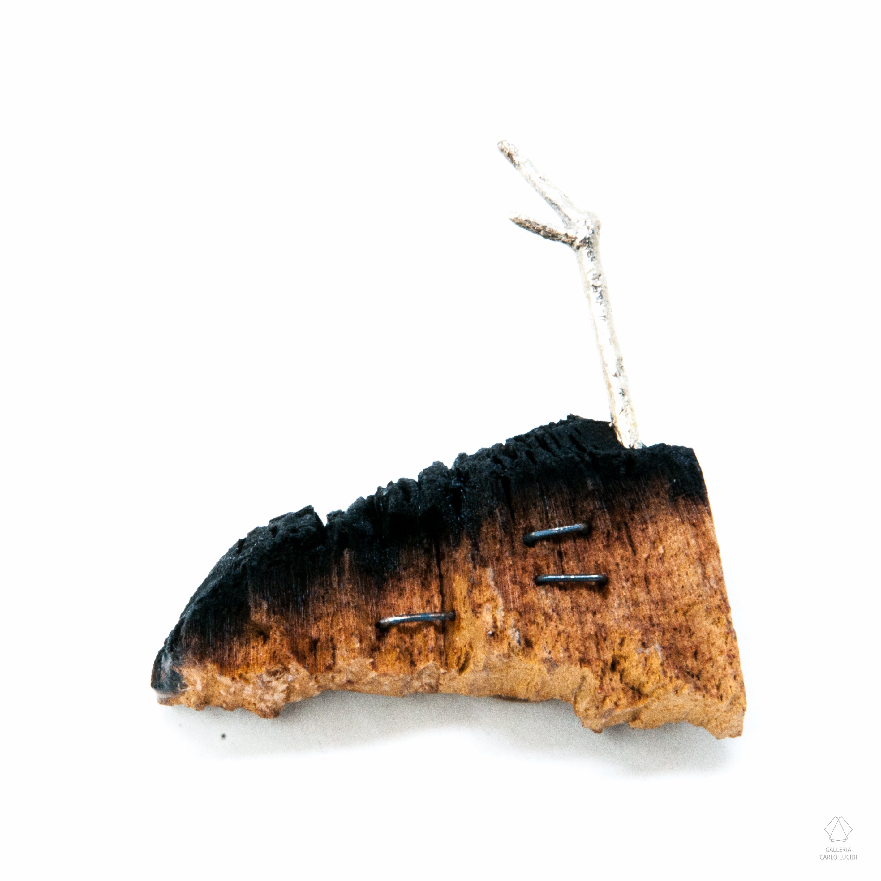 spilla magnetica, scultura in legno di pino e argento.