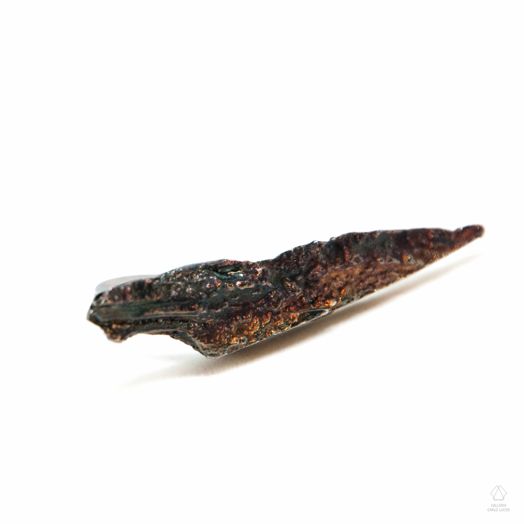 anello scultura in argento, scheggia di legno. Pezzo unico.