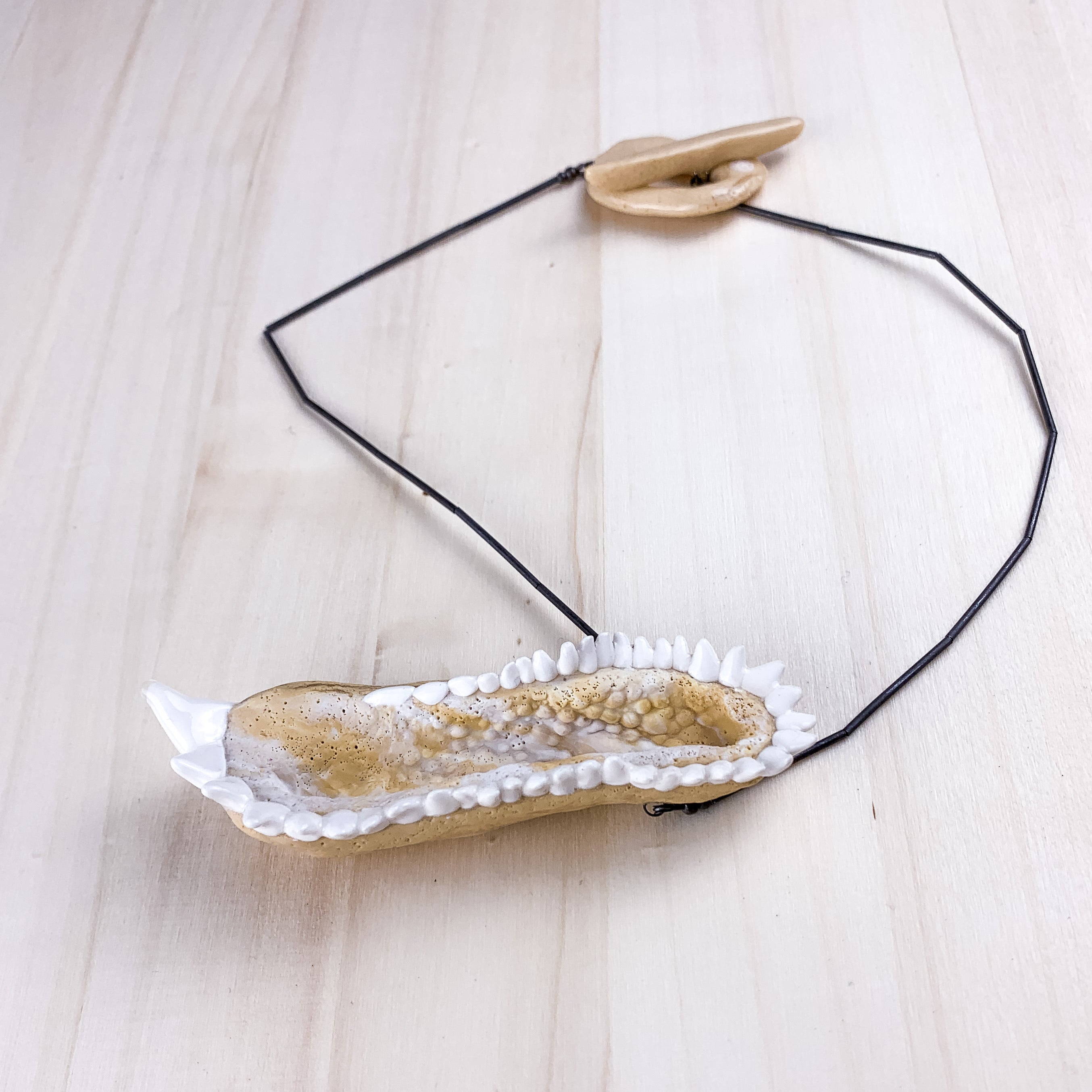 Collana barriera corallina